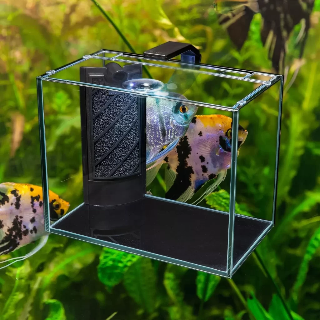 Aquatop Venti Professional Showcase Glass Aquarium Kit 2-Gallon – for Freshwater Fish Tanks LED Light Breza Air Pump & Replaceable Filter Cartridge All in One Tank Aquarium Tank 