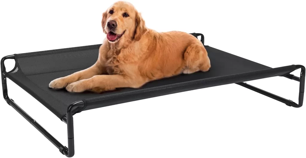 Cot Dog Beds