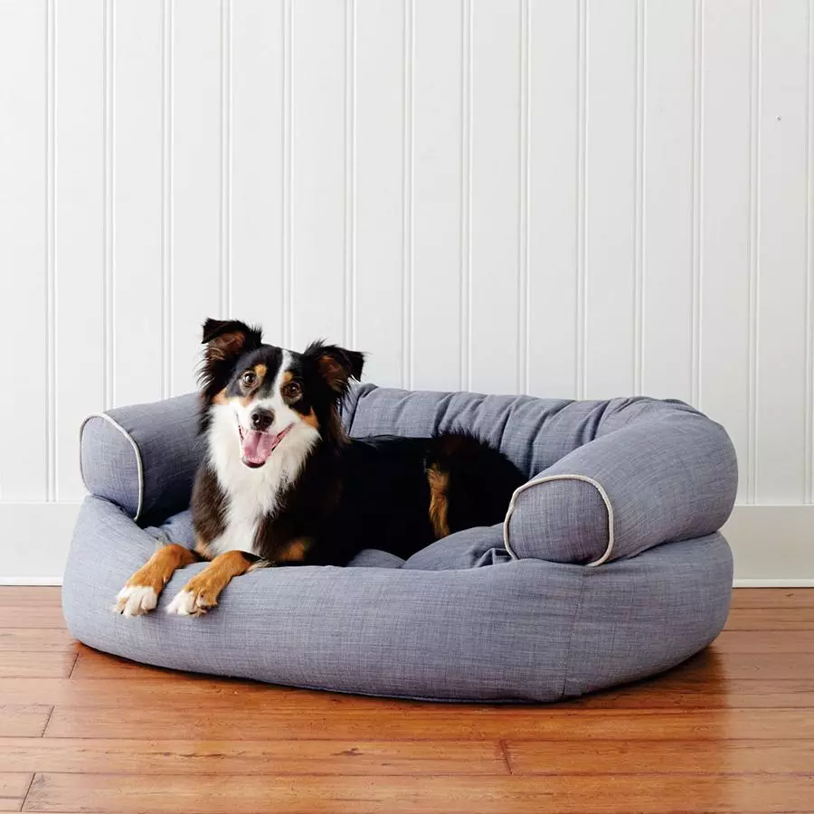 Designer Dog Beds