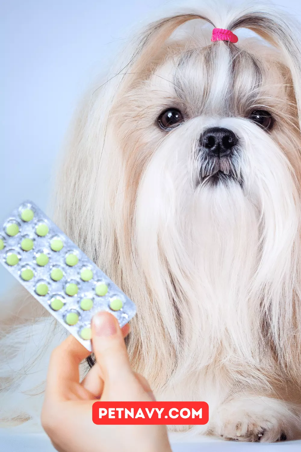 Deworming Pills for Dogs