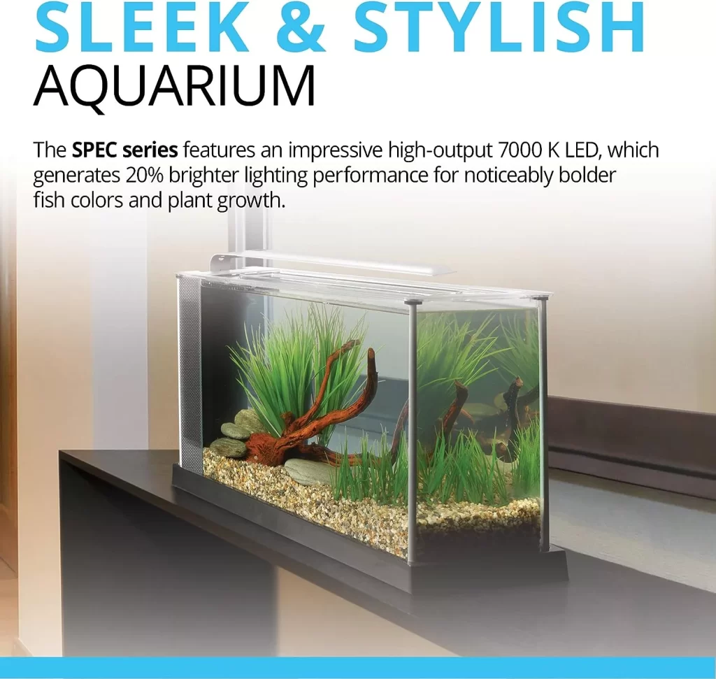 Fluval SPEC Aquarium Kit Aquarium with LED Lighting and 3-Stage Filtration System 5-Gallon