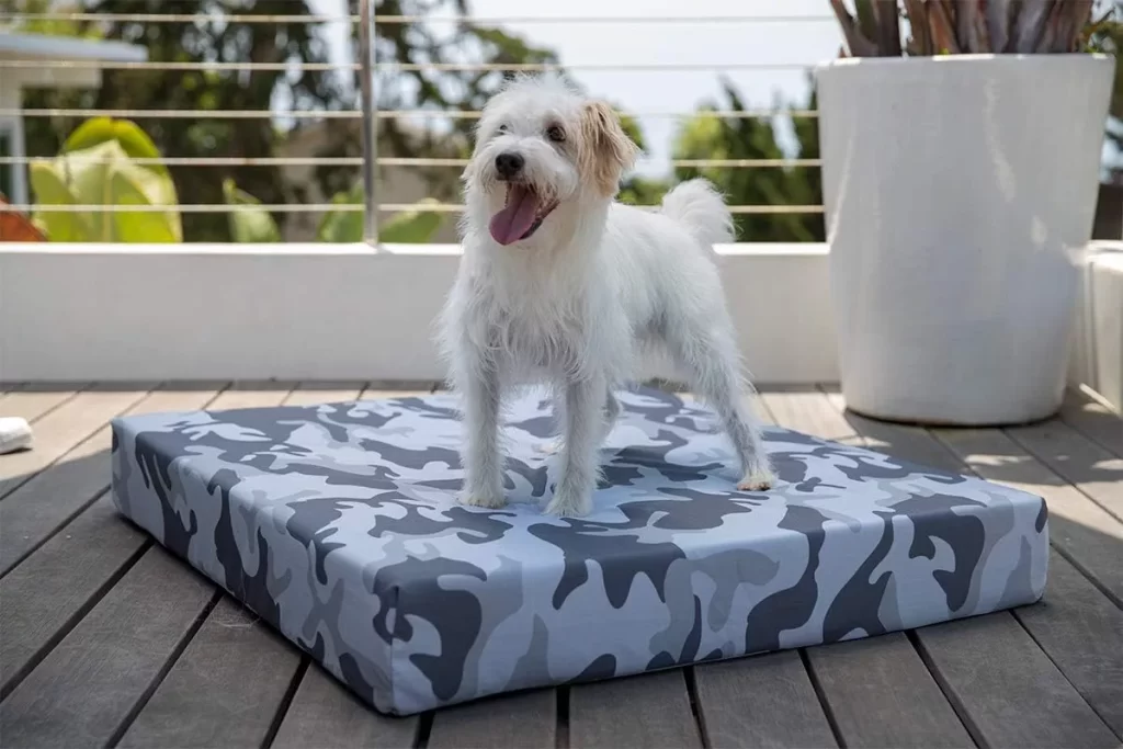 Indestructible Dog Beds