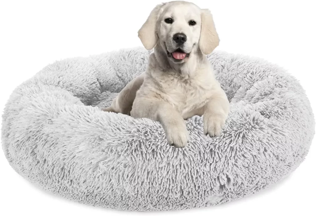 Nest Dog Beds