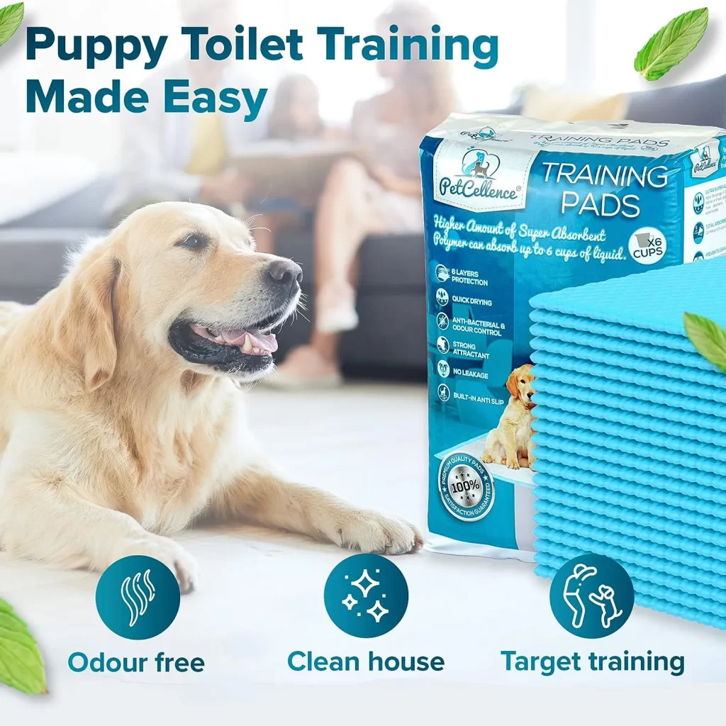 PetCellence Puppy Pads with Non Slip Sticky Tapes – 24 x 24 Super-Absorbent Pee Pads for Dog - Waterproof Dog Pads Extra Large with Leak-Proof Protection for Puppies (6 Layers ︶ 30 Count)