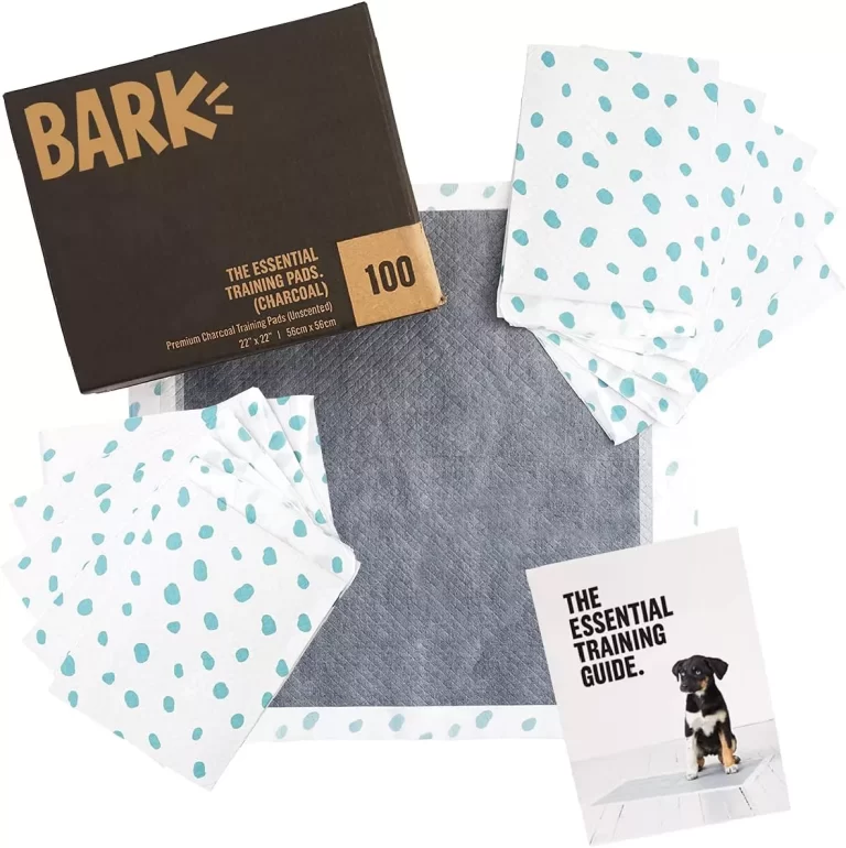 Barkbox Odorless Puppy Pads | 100 Count | Quick Dry, Ultra Absorbent Activated Charcoal Dog Pee Pads, Pet Training Accessories for Housebreaking, Pheromone Attractant | Charcoal | Regular