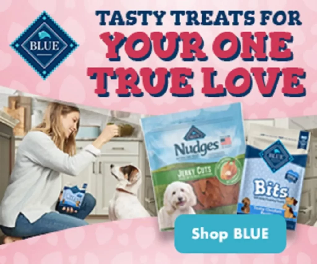 Blue Buffalo Valentines Day Dog Treats Gift Set Blue Bits Natural Soft-Moist Training Dog Treats, Beef Recipe with Chuckit! Ultra Balls