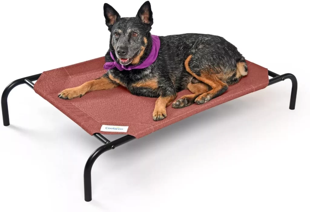 Coolaroo The Original Cooling Elevated Dog Bed, Indoor and Outdoor, Medium, Terracotta