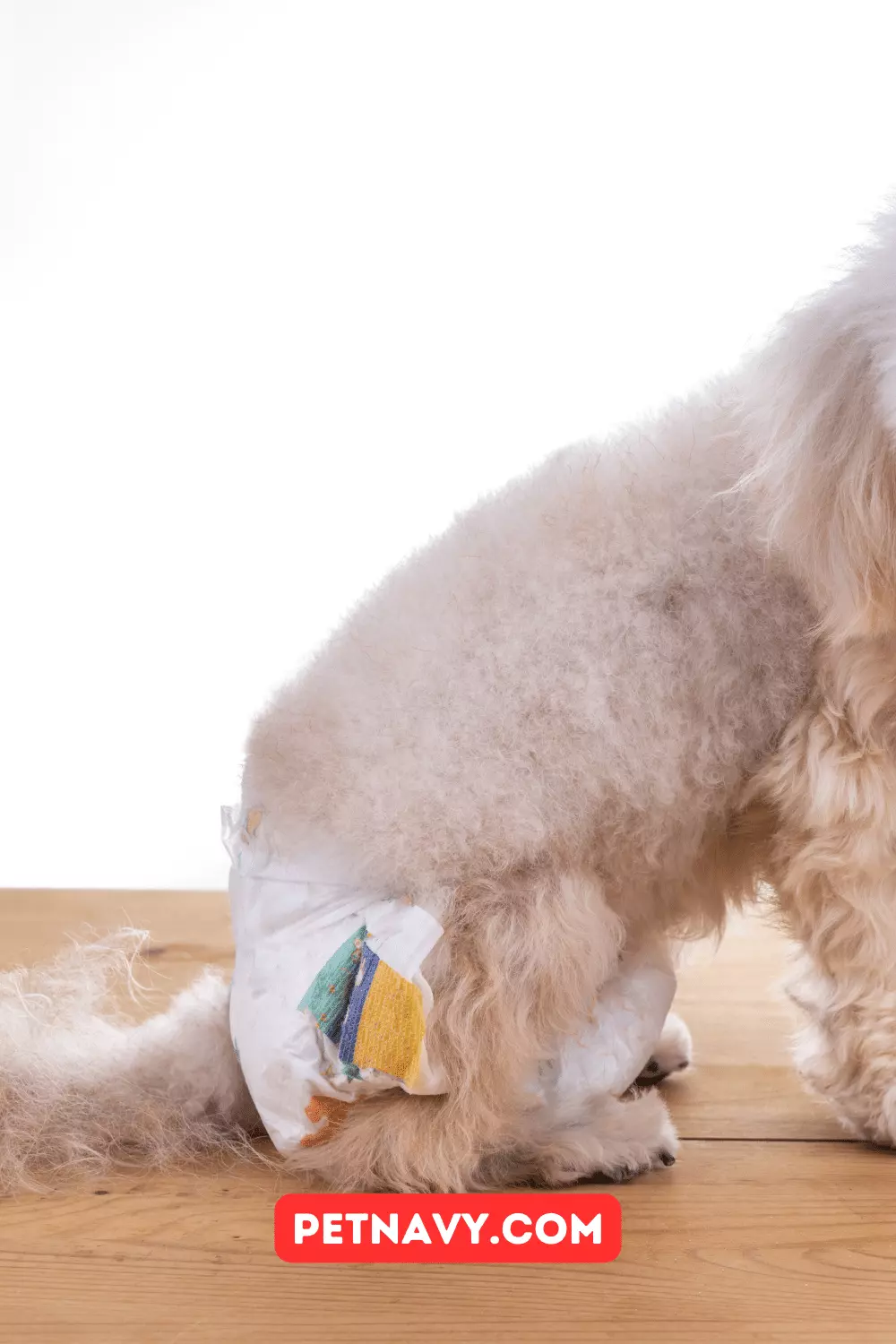 DIY Washable Female Dog Diaper Free Pattern and Instructions