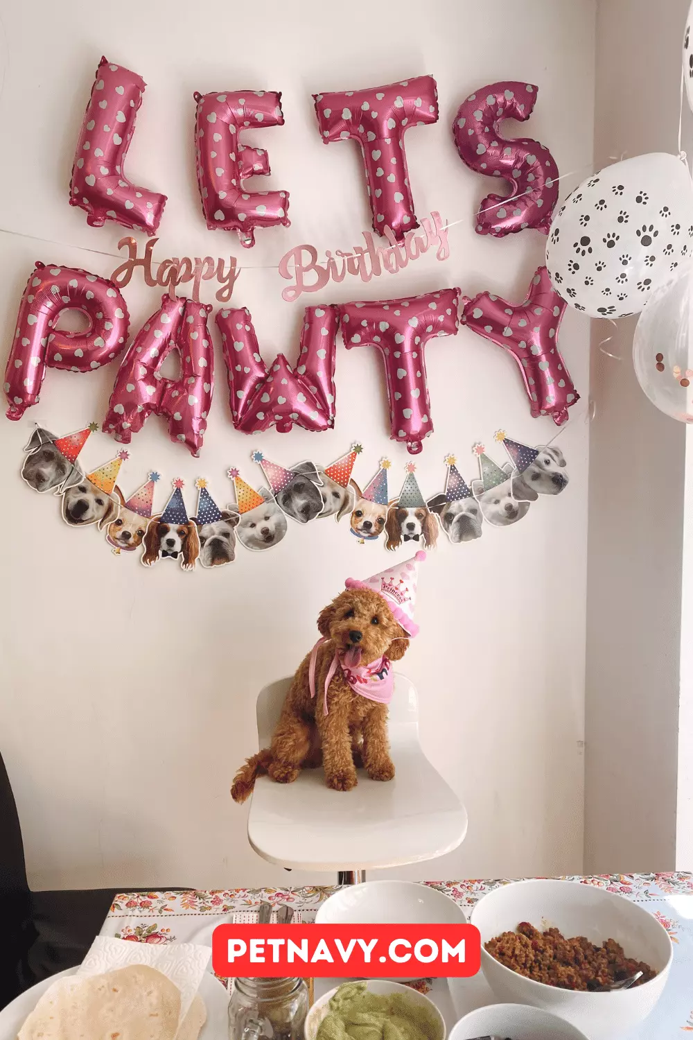 Dog Birthday Party Themes 7 Best Ideas to Celebrate