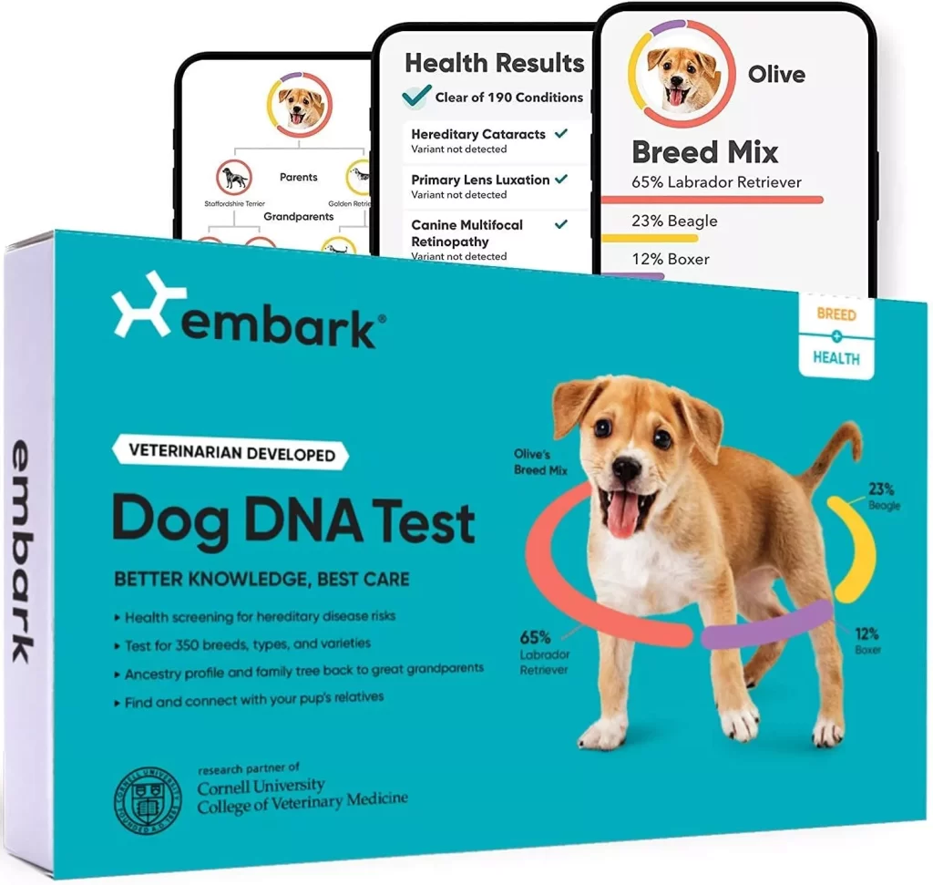 Embark Dog DNA Test Breed & Health Kit Breed Identification & Canine Genetic Health Screening