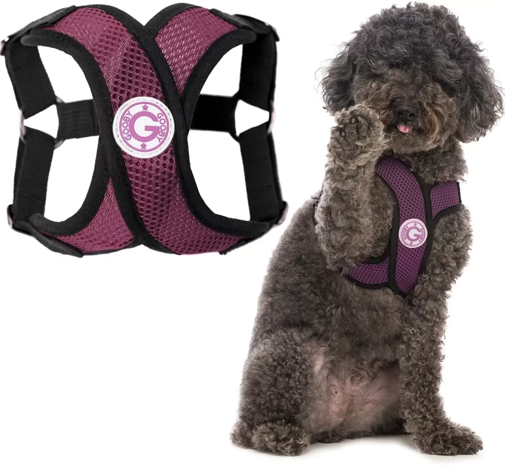 Gooby Comfort X Step In Harness - Purple, Large - No Pull Small Dog Harness Patented Choke-Free X Frame - Perfect on the Go Dog Harness for Medium Dogs No Pull or Small Dogs for Indoor and Outdoor Use