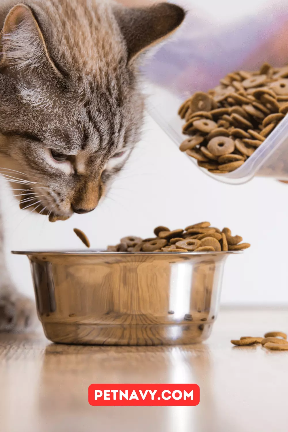 IAMS Diabetic Cat Food Meals and Fillers