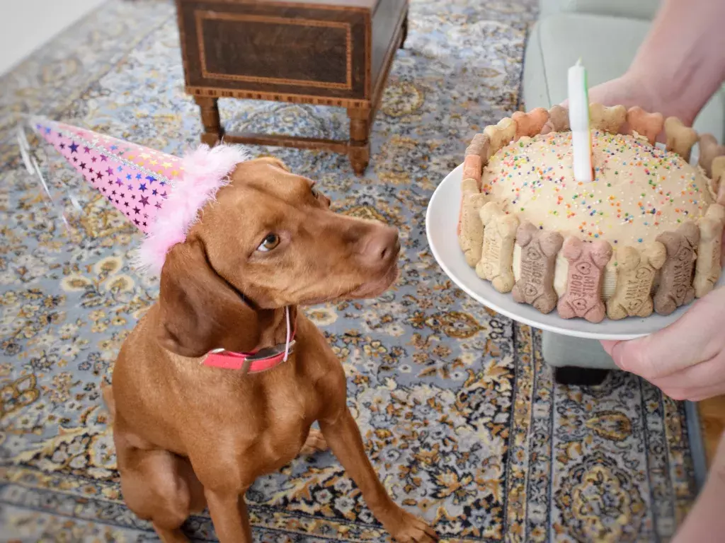 Peanut Butter and Banana Dog Birthday Cake