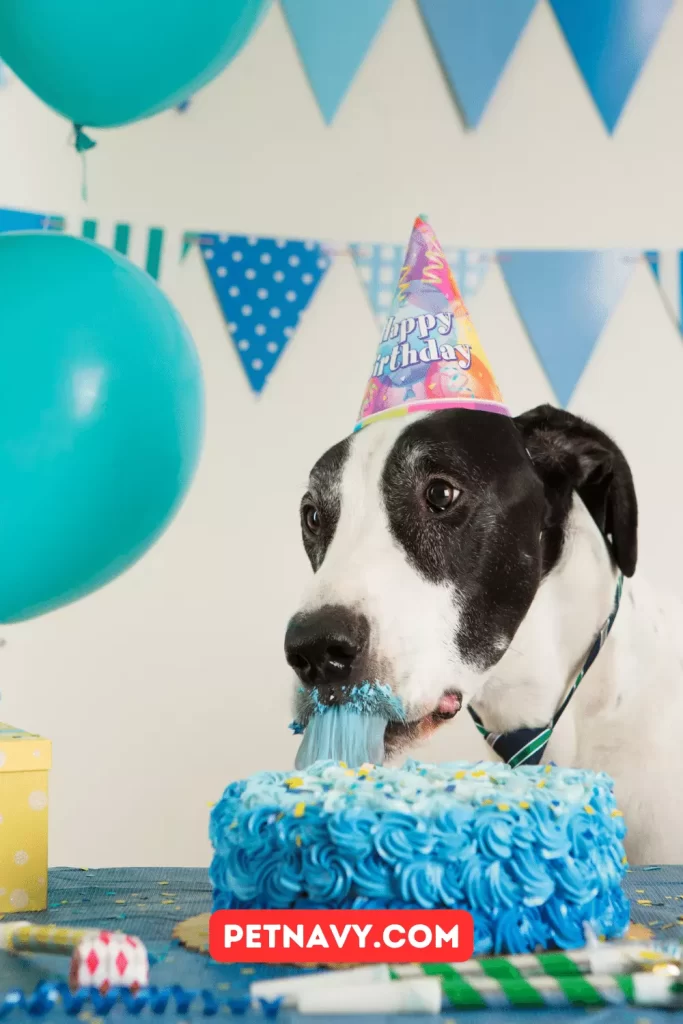Perfect Theme for Dog Birthday Party