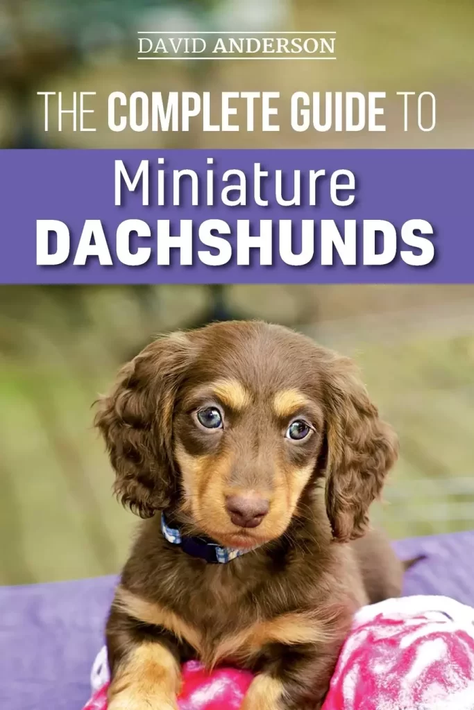 The Complete Guide to Miniature Dachshunds A step-by-step guide to successfully raising your new Miniature Dachshund