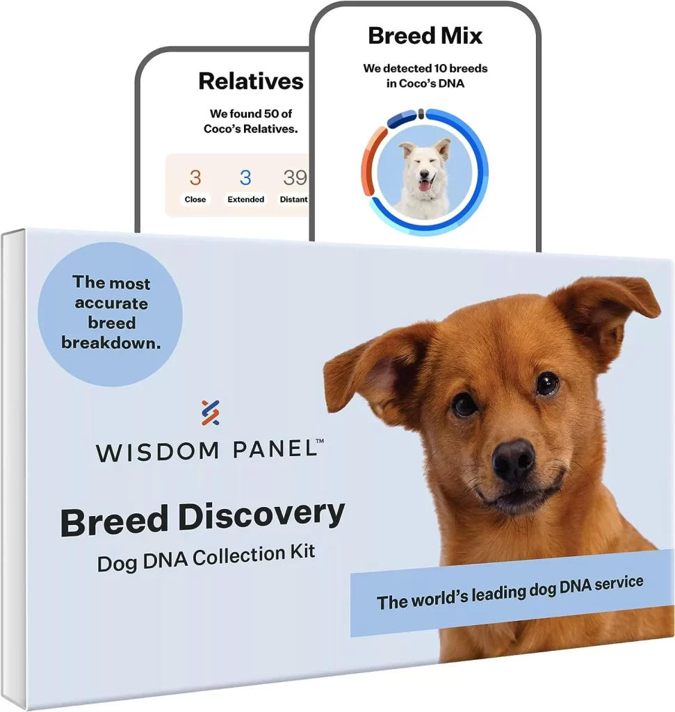 Wisdom Panel Breed Discovery Dog DNA Kit: Most Accurate Dog Breed Identification, Test for 350+ Breeds, MDR1 Health Test, Ancestry, Relatives