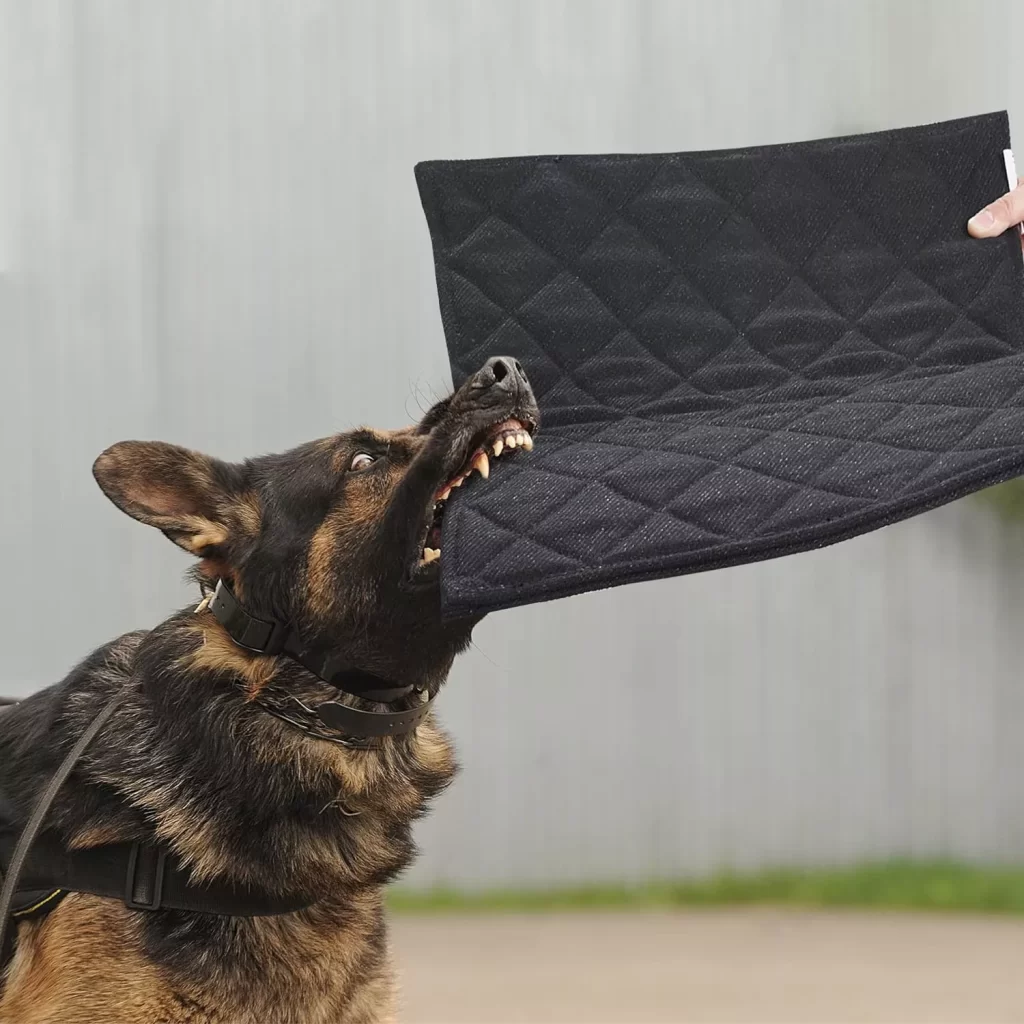 MABOZOO Indestructible Dog Beds, Chew Proof Dog Crate Pad for Aggressive Chewers,Machine Washable Quilted Dog Mat for Crate,Durable Dog Beds for Small Dogs,Black Kennel Pad (17x23 in)